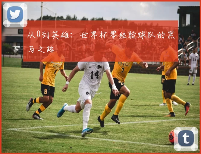 从0到英雄:世界杯零经验球队的黑马之路