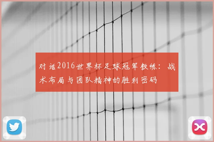 对话2016世界杯足球冠军教练：战术布局与团队精神的胜利密码