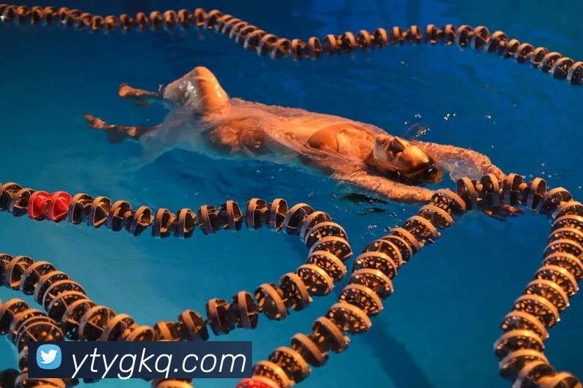 数据防护可视化